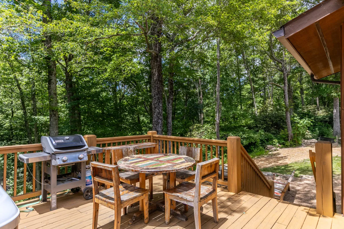 An inviting outdoor dining area set amidst lush green trees, with a large table and grill, perfect for meals after a day of exploring. The scene is surrounded by vibrant greenery, evoking the sense of being immersed in nature, and provides ample space for both people and pets to relax and unwind.
